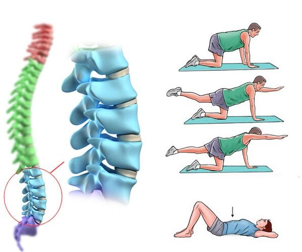 Physiotherapie a Massage